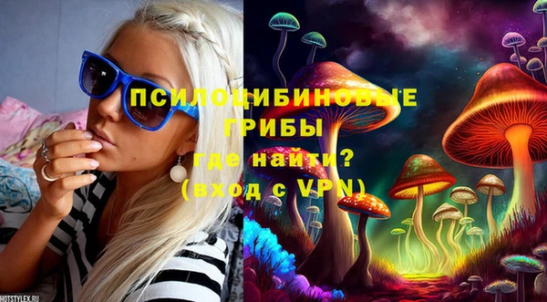 сатива Аркадак